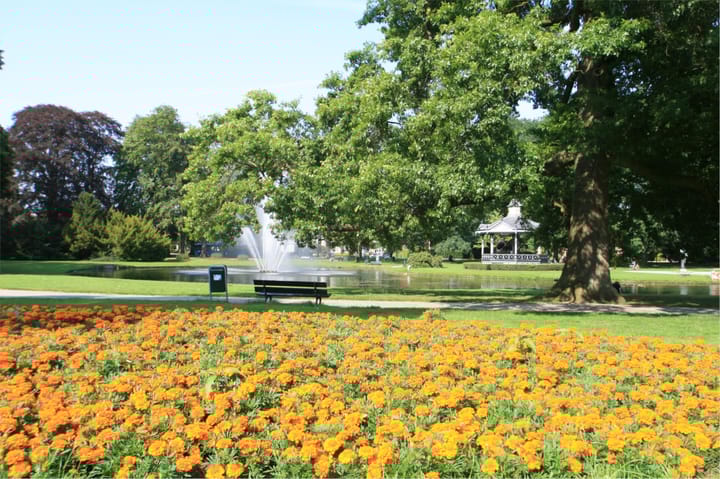 Foto 43 van Mr. Van Rhemenslaan 1