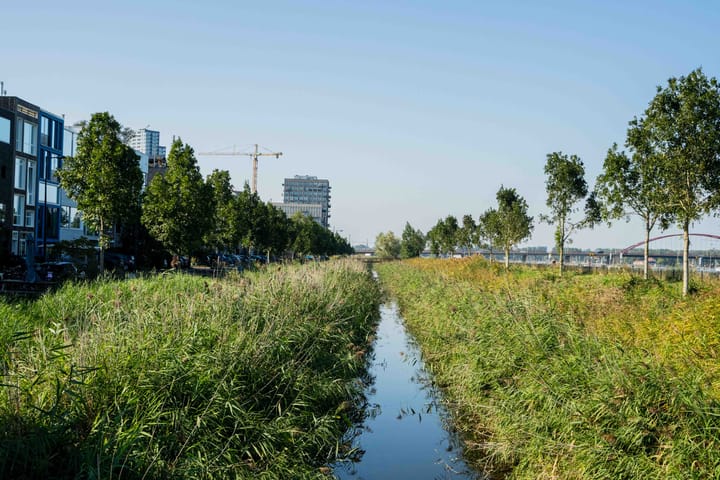 Photo 39 of Kea Boumanstraat 150-A