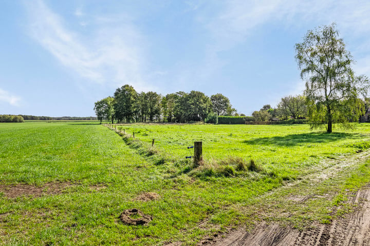 Bekijk foto 37 van Oirschotsedijk 9058