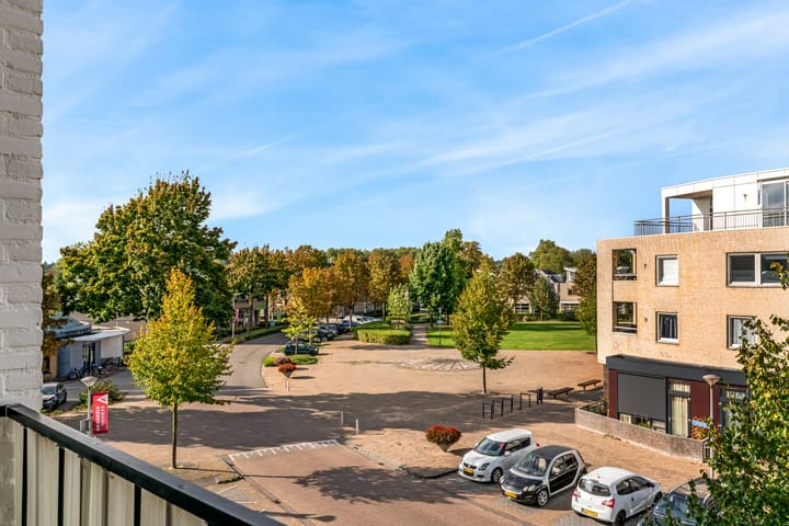 Foto 19 van Europalaan 40