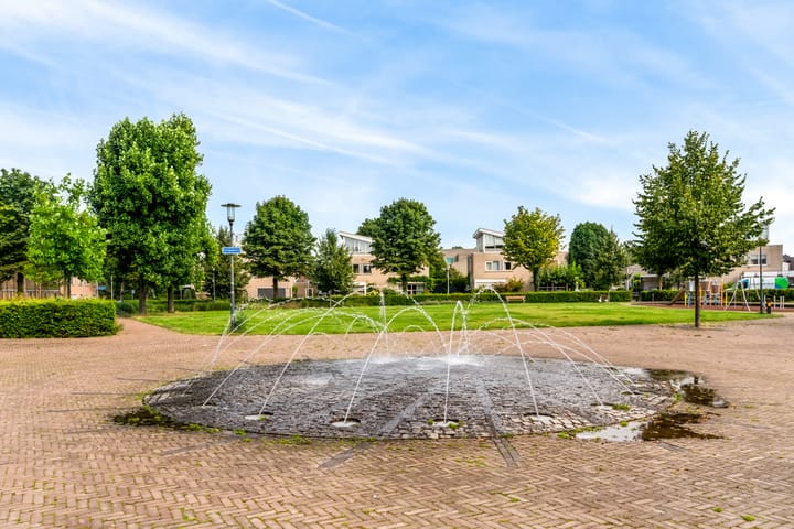 Foto 25 van Europalaan 40