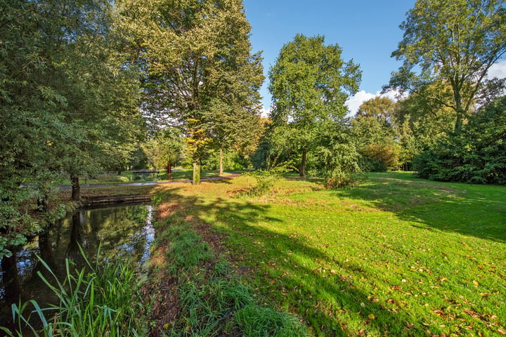 Bekijk foto 4 van Medeaschouw 50