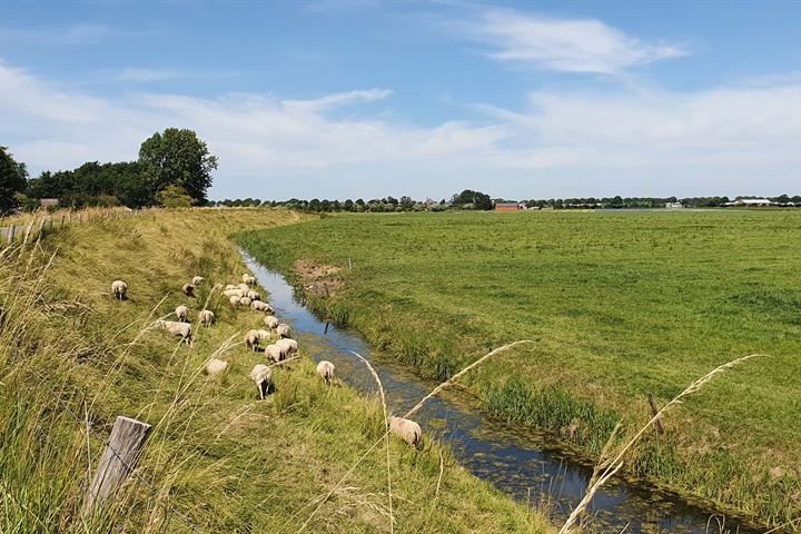 Bekijk foto 34 van Rekerlanden 281