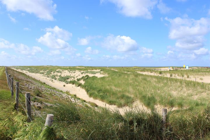 Bekijk foto 36 van Rekerlanden 281