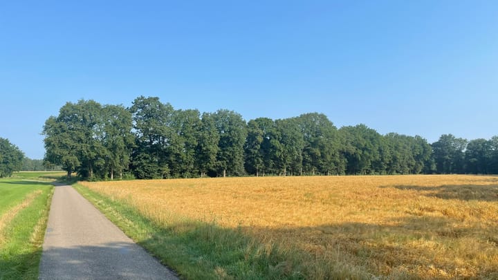 Foto 2 van Brethouwerweg Kavel 3