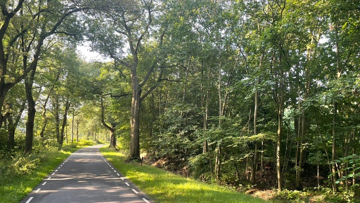 Foto 6 van Brethouwerweg Kavel 3