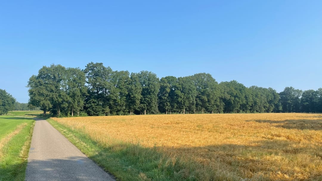 Foto 2 van Brethouwerweg kavel 4