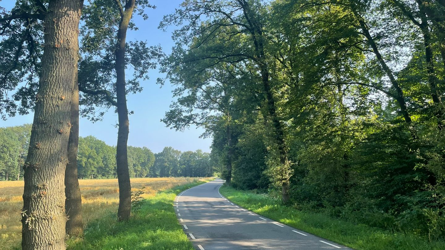 Foto 4 van Brethouwerweg kavel 4