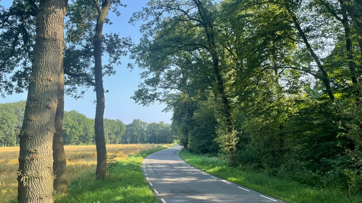 Foto 4 van Brethouwerweg kavel 4