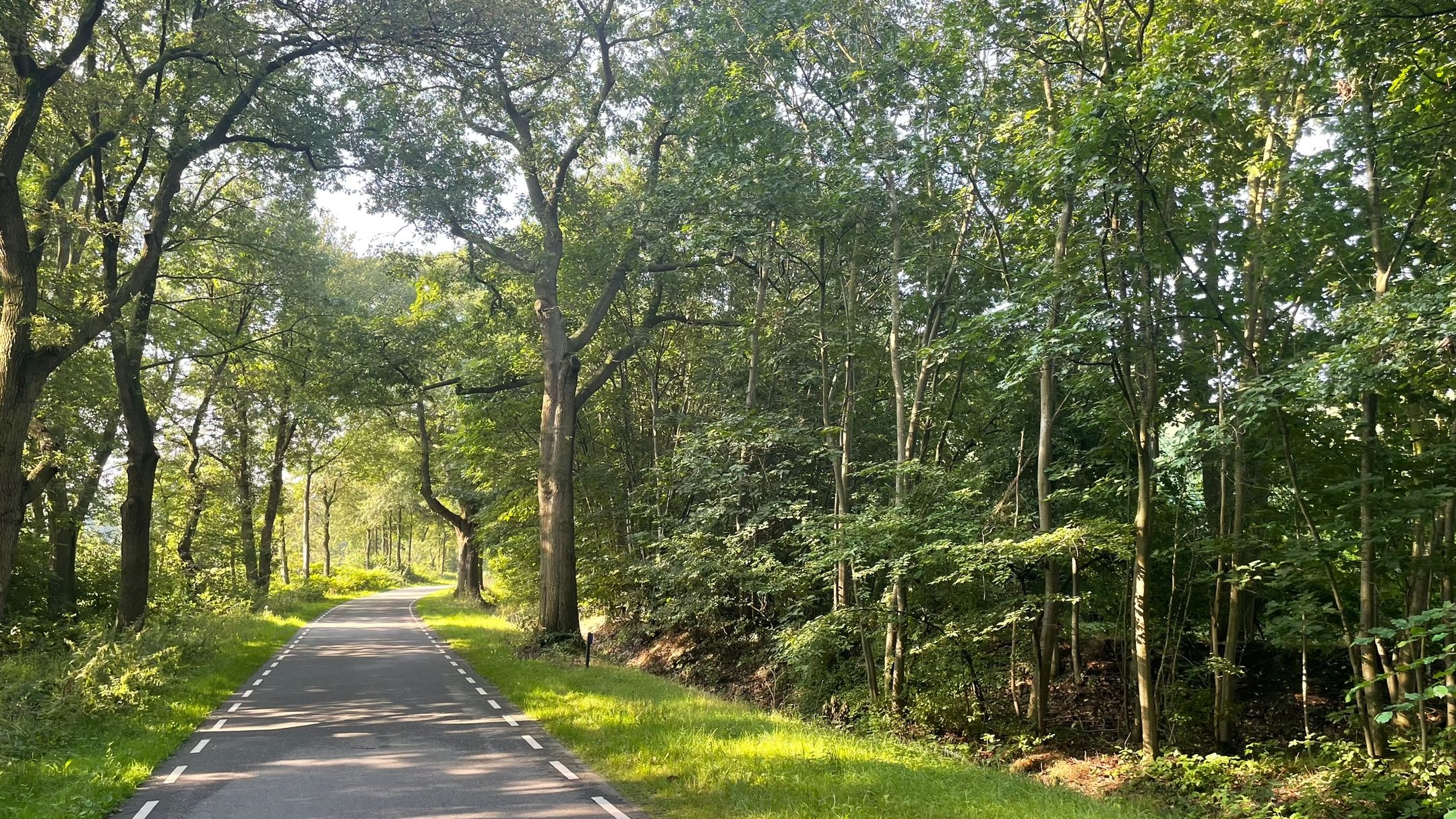 Foto 6 van Brethouwerweg kavel 4