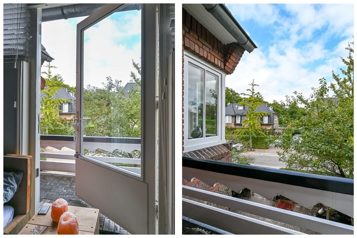 Foto 38 van Rijnegomlaan 8