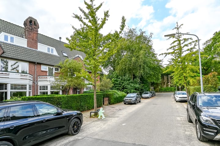 Foto 57 van Rijnegomlaan 8