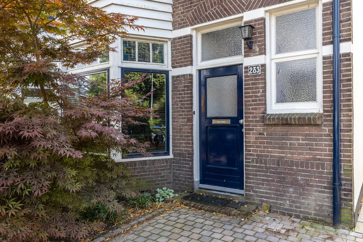 View photo 4 of Groenestraat 283