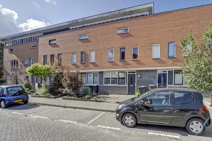 Foto 6 van IJsvogel 9