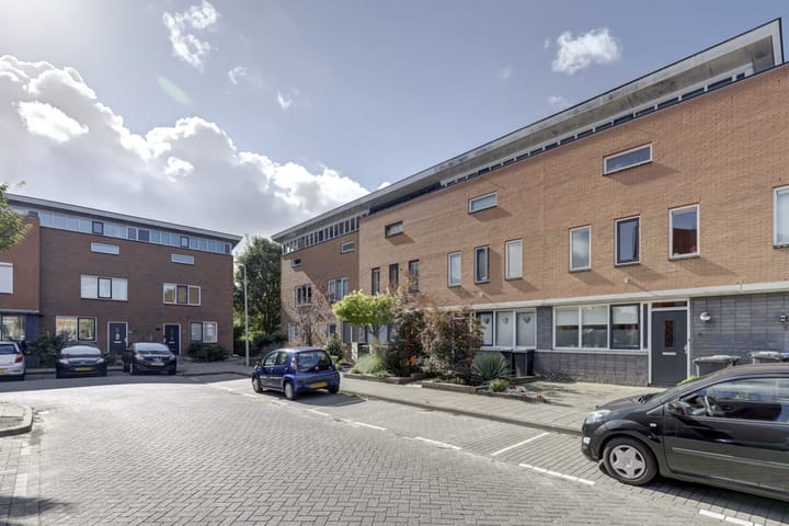 Foto 8 van IJsvogel 9