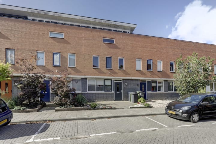 Foto 7 van IJsvogel 9