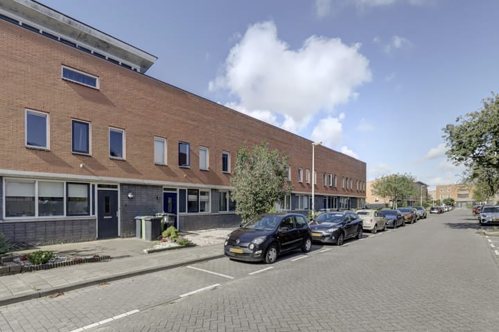 Foto 9 van IJsvogel 9