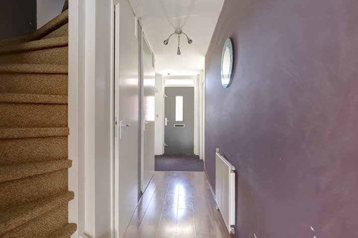 Foto 11 van IJsvogel 9