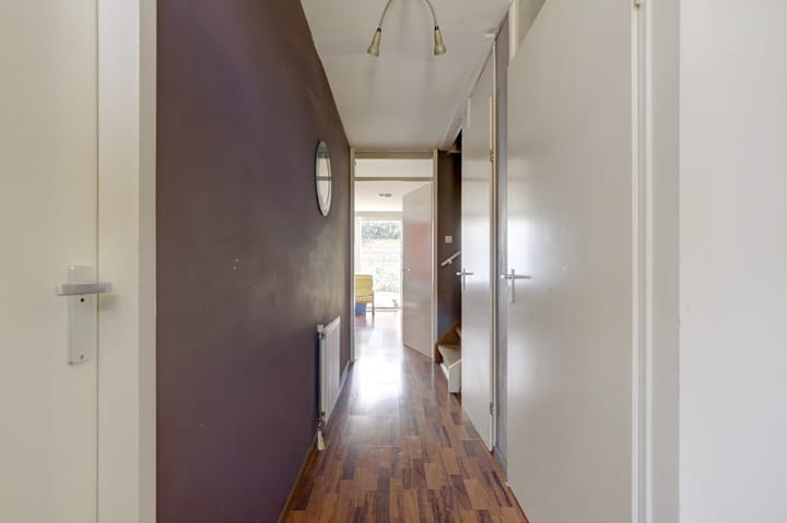 Foto 10 van IJsvogel 9