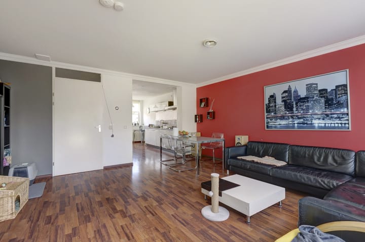 Foto 14 van IJsvogel 9