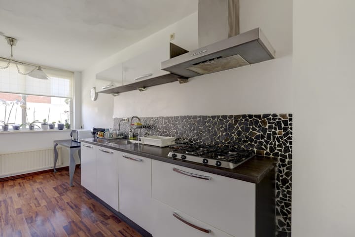 Foto 16 van IJsvogel 9