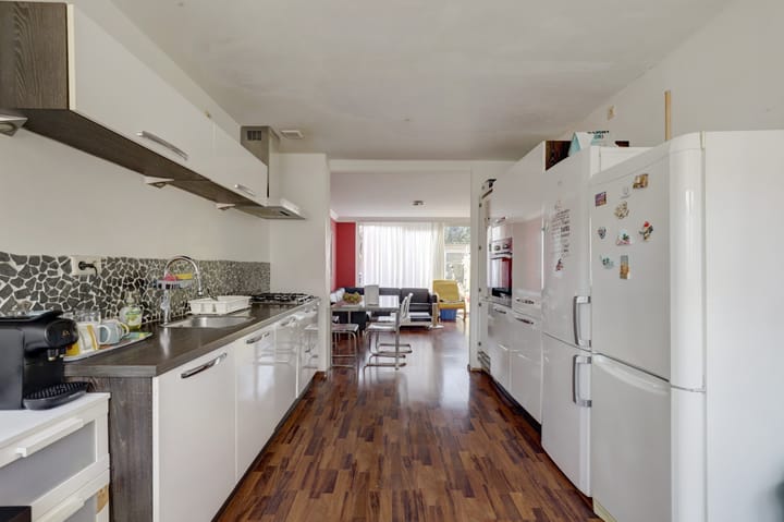 Foto 3 van IJsvogel 9