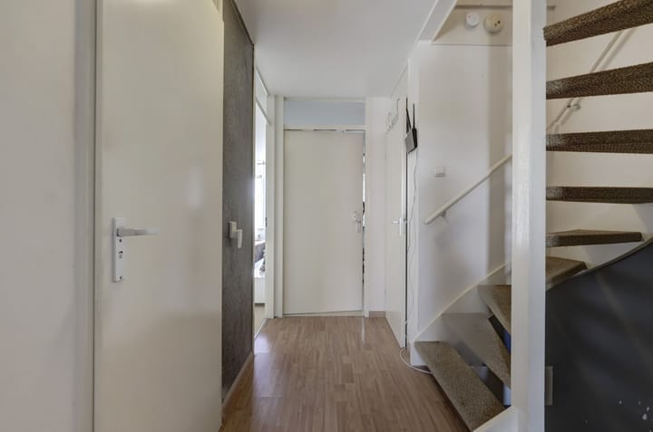 Foto 19 van IJsvogel 9