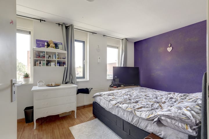 Foto 20 van IJsvogel 9