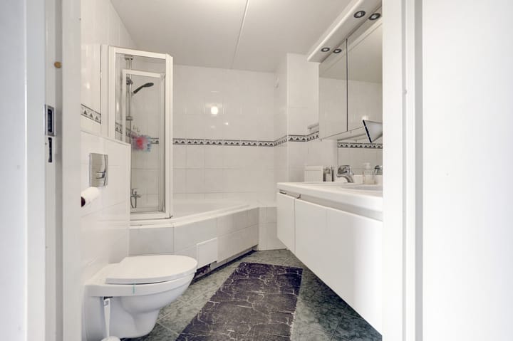 Foto 26 van IJsvogel 9