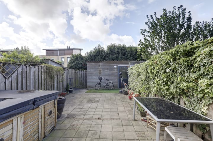 Foto 33 van IJsvogel 9