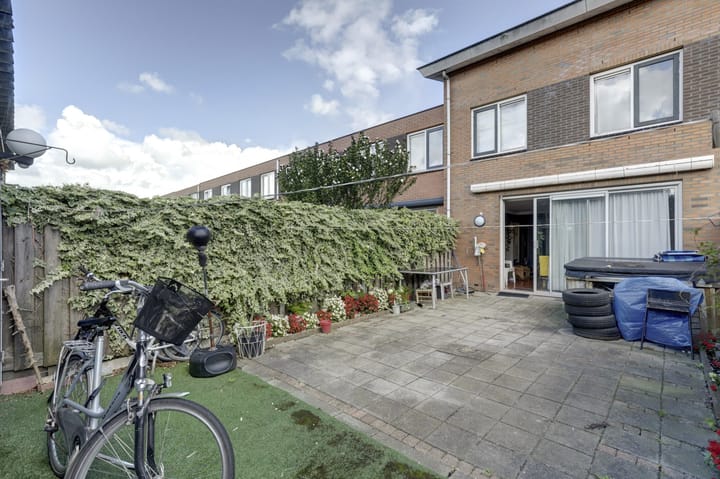 Foto 34 van IJsvogel 9