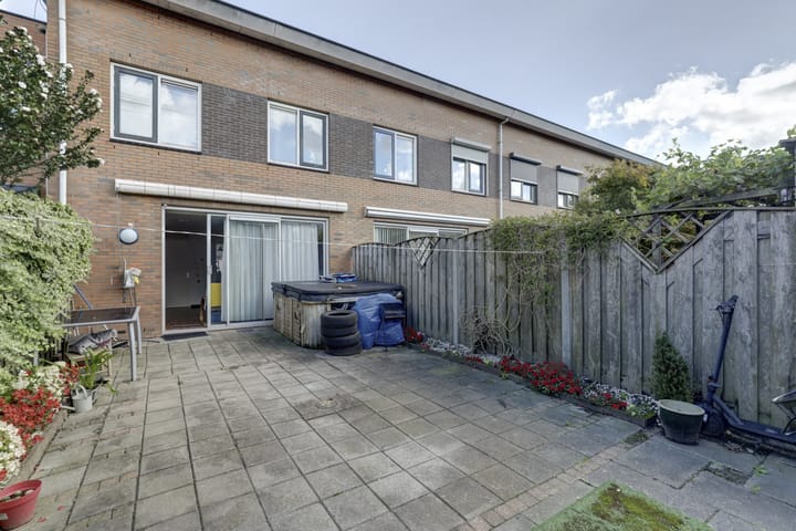 Foto 35 van IJsvogel 9