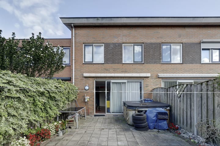 Foto 36 van IJsvogel 9