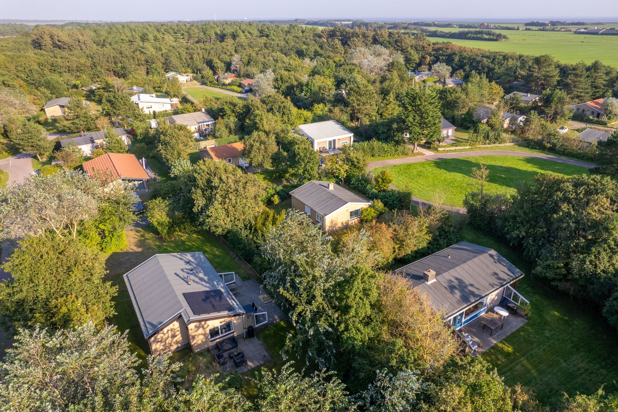 Foto 3 van Duinrooshoek 343