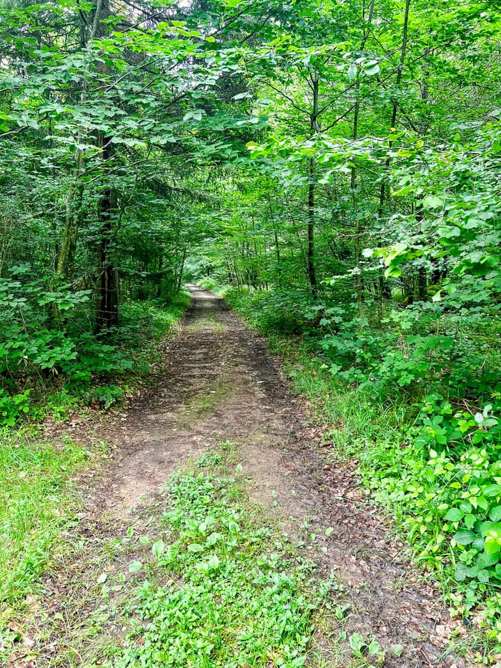 Foto 74 van La Renardière