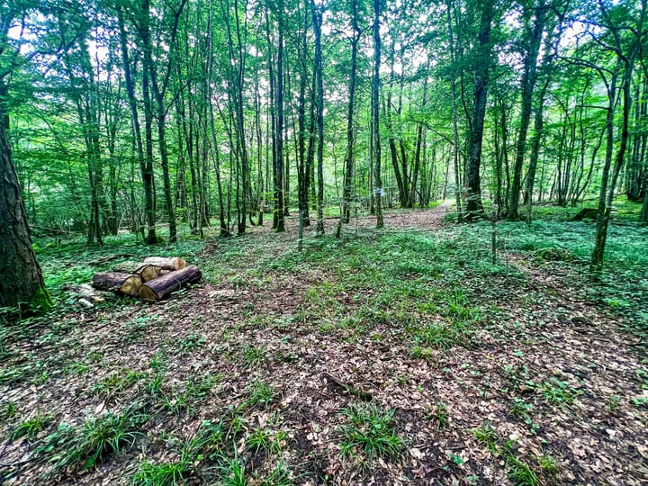 Foto 75 van La Renardière