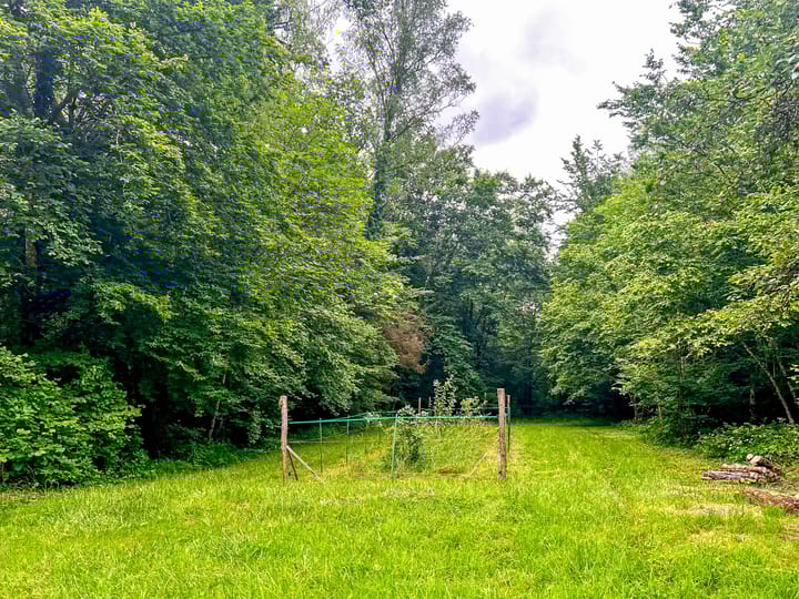 Foto 76 van La Renardière