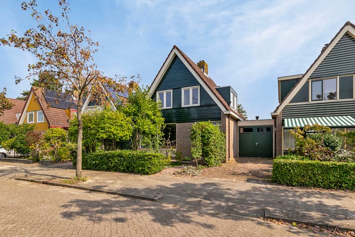 Foto 39 van Roerdomp 4