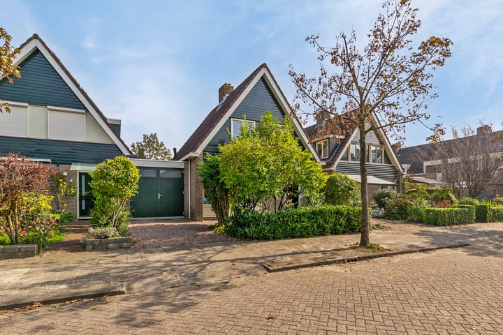 Foto 40 van Roerdomp 4