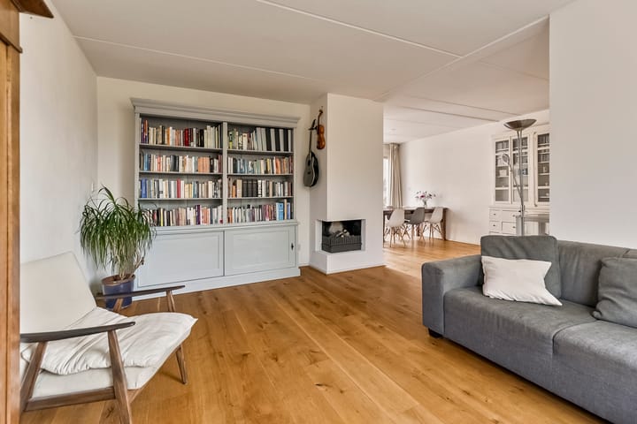 Foto 6 van Roerdomp 4