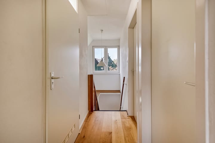 Foto 20 van Roerdomp 4