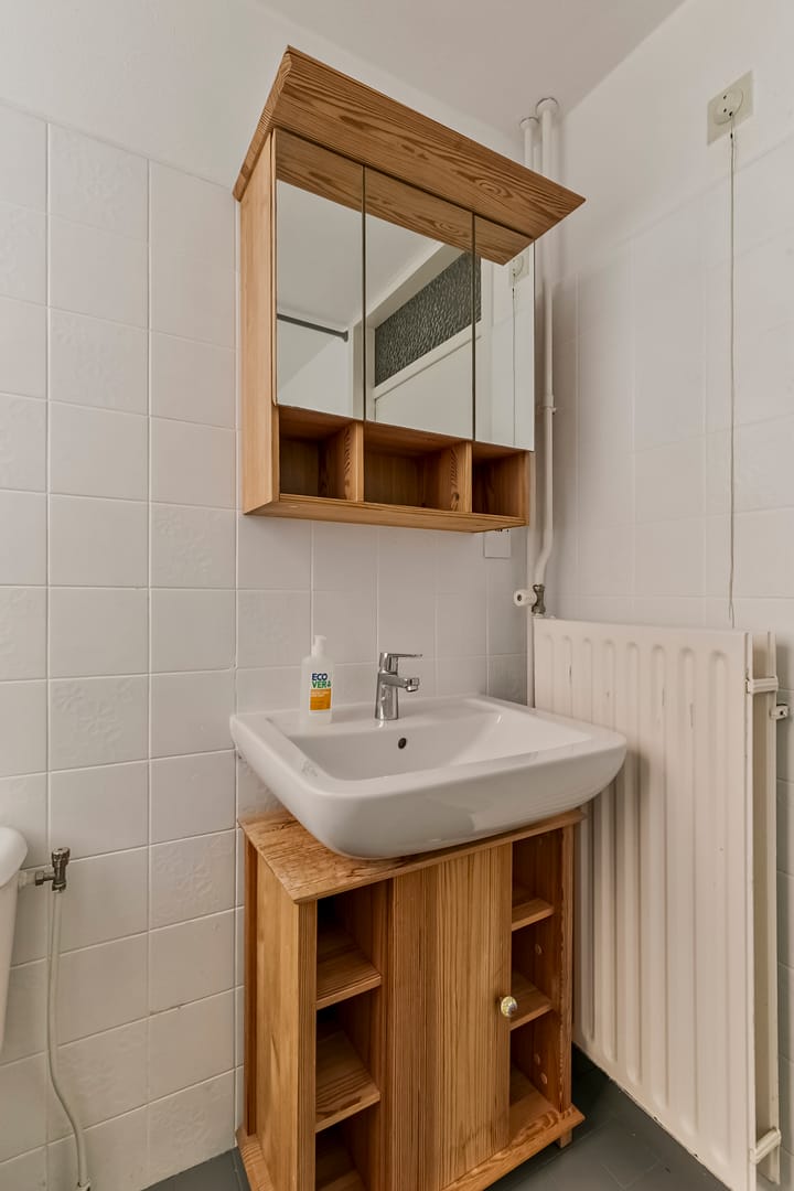 Foto 30 van Roerdomp 4