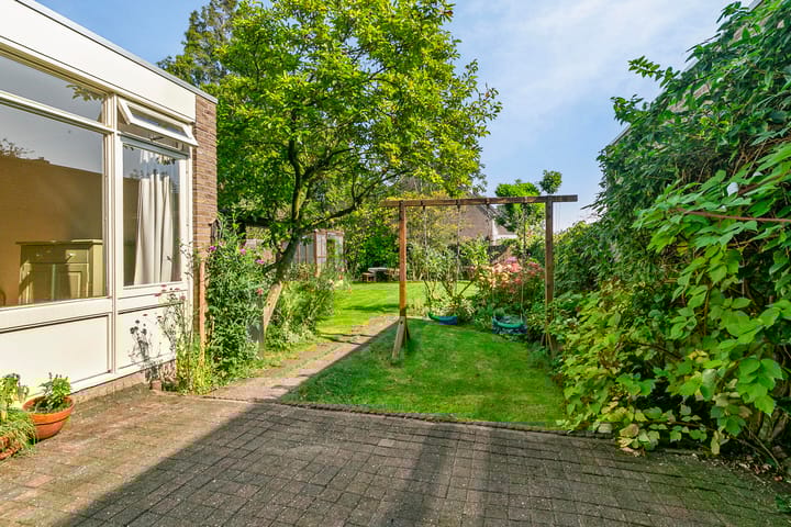 Foto 33 van Roerdomp 4