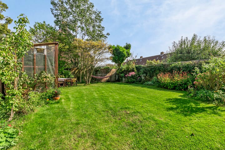 Foto 34 van Roerdomp 4