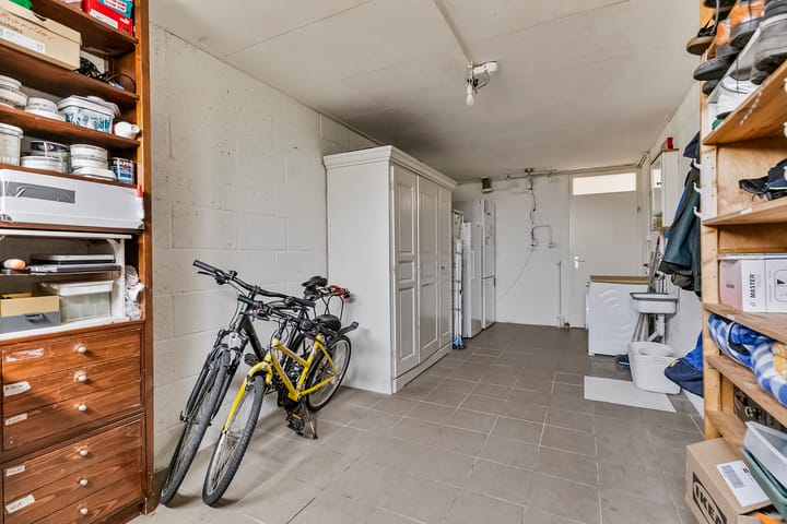 Foto 38 van Roerdomp 4