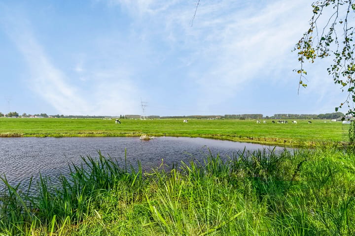 Foto 42 van Roerdomp 4