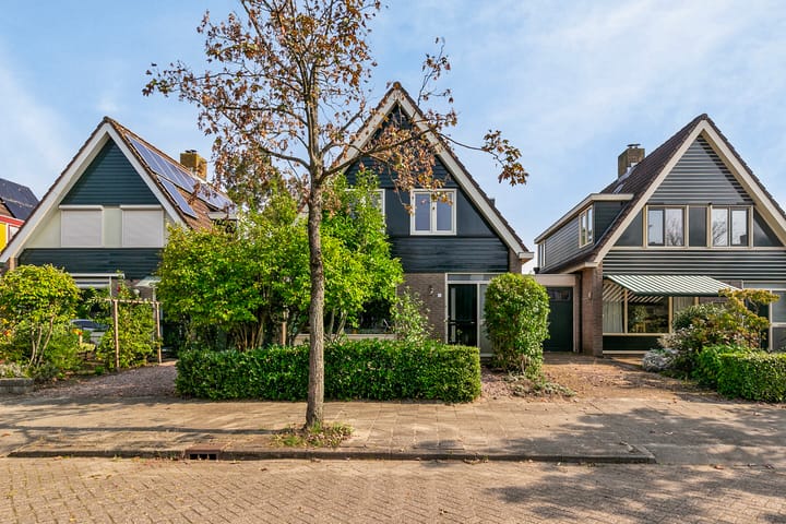 Foto 1 van Roerdomp 4