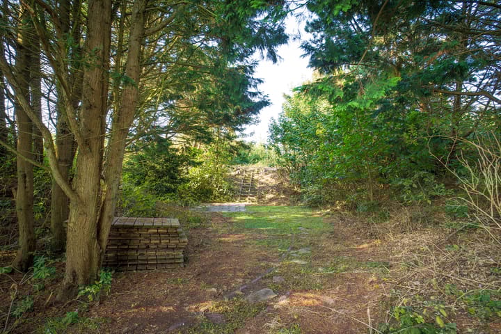 Foto 17 van Roggeslootweg 565