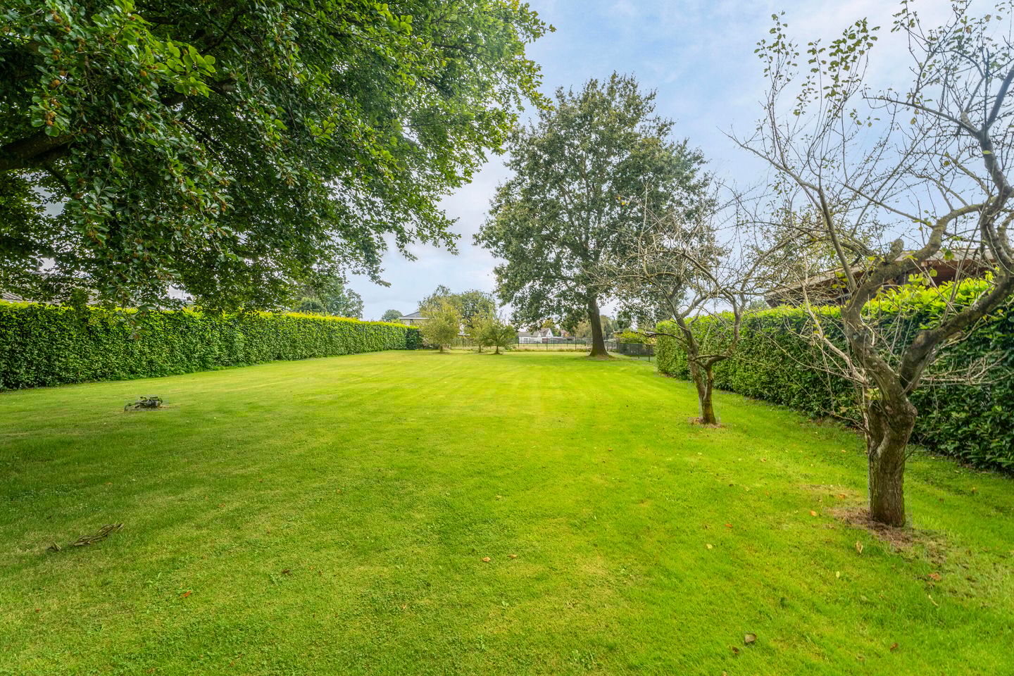 Foto 34 van Wezeweg 5