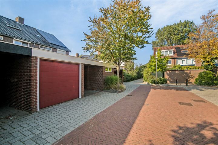 Bekijk foto 34 van Vuurdoorn 43